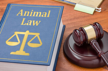 A law book with a gavel - Animal law