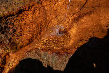 Detail of the natural spring Balbin Spring (Balbínův pramen in Czech) - in forest near spa town Mariánské Lázně - Czech Republic 