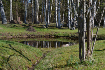 pond in a recreation area in the woods with red herbs on a warm summer day.
