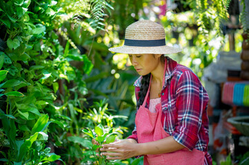 Young Asian woman caring for plants in a small garden . Holding a potted white hydrangea plant watering flower pots. Sitting on knees in the walkway between plants. Lifestyle joy happy freedom day.