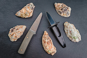 Two oyster knives on a slate slab. 