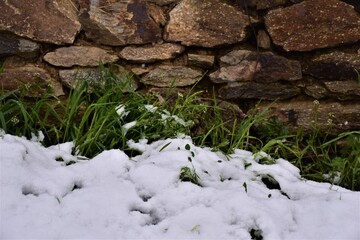 snow on green grasses in spring and a stone wall