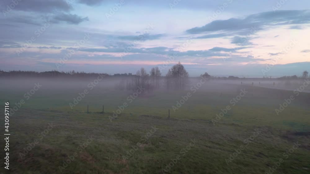 Sticker Trees on a foggy meadow in the evening time in Wegrow County, Masovian Voivodeship of Poland, 4k drone video