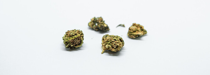 Close up on dried cannabis buds. Dry marijuana buds, weed, CBD, copy space, banner size. 