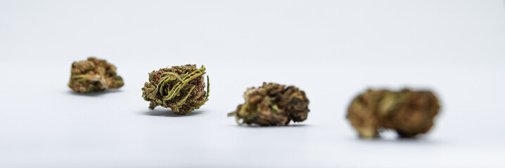 Close up on dried cannabis buds. Dry marijuana buds, weed, CBD, copy space, banner size. 