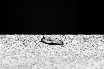 Black and white dry, dead and isolated leaf fallen on granite texture surface. Last leaf, end of fall season, beginning of winter. End of spring, first leaf of autumn. Conceptual art. Minimalism