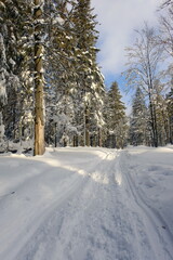 Snow in the clearing. Cloudy sky. Winter in the mountains. Rysianka Hall.