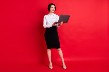 Full length body profile photo business woman working on laptop smiling isolated vibrant red color...