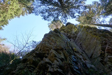 impressive steep moss covered rocks with trees and roots at the burgbach waterfall