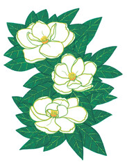 Isolated large white magnolia flowers on a solid seamless background of dark green leaves. A contrasting floral pattern symbolizes tenderness, fidelity and love.