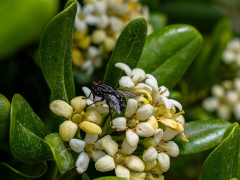 naturaleza
