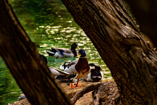 naturaleza