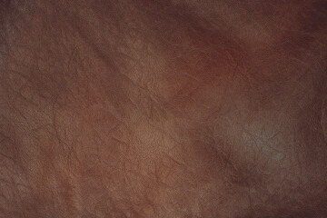 brown leather background, texture, brown, abstract, wood, leather, old, paper, pattern, grunge, textured, red, dark, vintage, surface, wall, background, antique, material, aged, retro