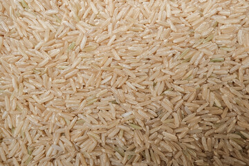 Organic rice grain, Integral uncooked brown rice texture