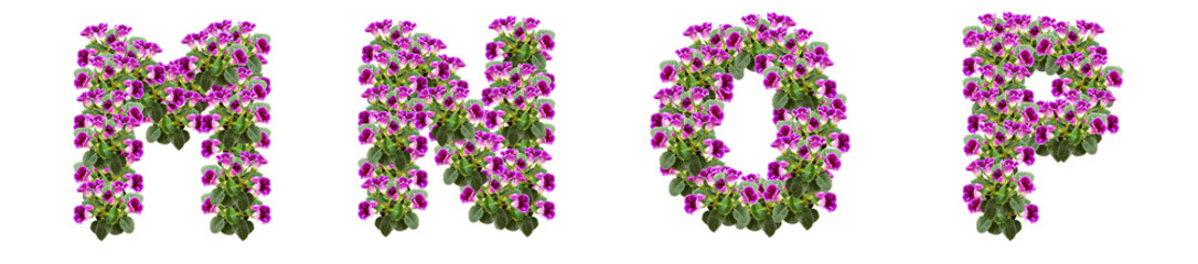 The letters M, N, O, P are made of purple flowers and leaves