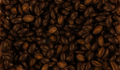 Roasted Brown Coffee Beans Background