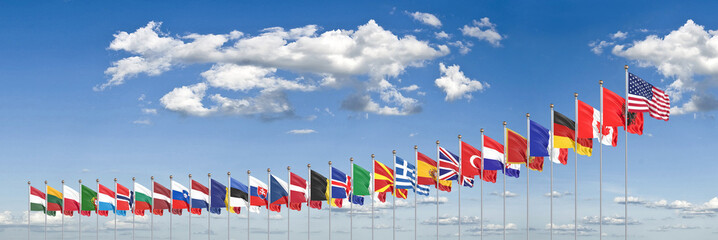 The 30 waving Flags of NATO Countries - North Atlantic Treaty. Isolated on cloud background  - 3D illustration.
