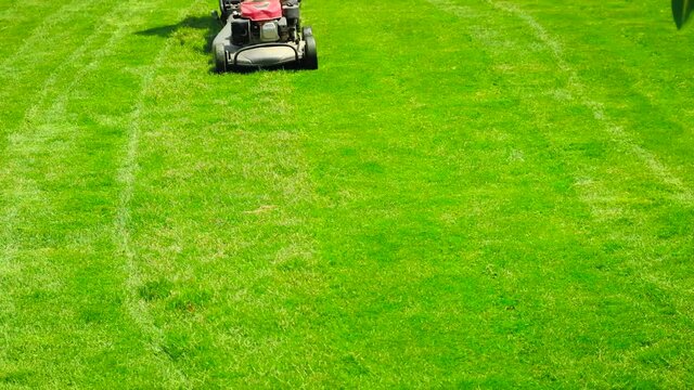 the lawn mower is cutting the lawn. Selective focus.