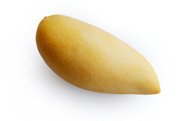 Mango fruit on white background