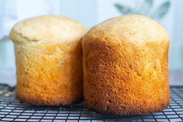 just baked two sponge cakes on the cooking grill cooling