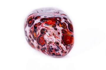 Macro mineral stone Jasper leopard on white background