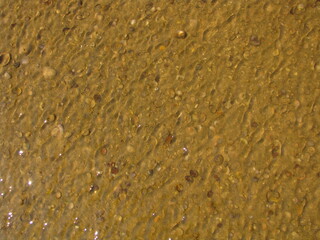 Muszelki i piasek pod wodą na plaże - obrazy, fototapety, plakaty