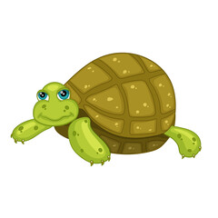 Cute turtle with blue eyes. Cartoon style vector illustration.