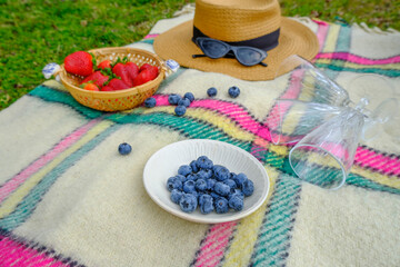Summer picnic in park. Blueberries on plate close-up on checkered plaid across plate with strawberries, empty wine glasses, straw hat, sunglasses and green grass. 