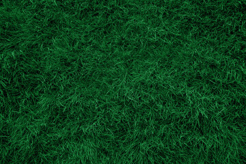 Texture et fond d& 39 herbe vert foncé