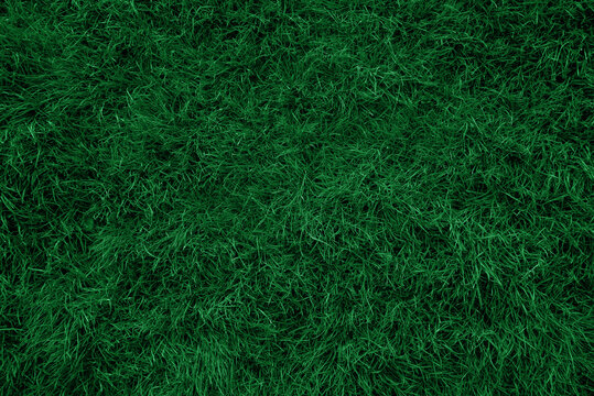 Grass Background Images  Free Download on Freepik