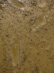 Ludzkie ślady w glinianym błocie na limanie © vofchok