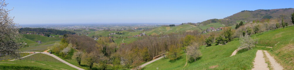 Blick auf Sasbachwalden und die Rheinebene
