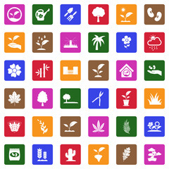 Plant Icons. White Flat Design In Square. Vector Illustration.