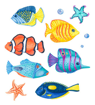 Set of colorful sea fish. Hand drawn illustration isolated on white background.