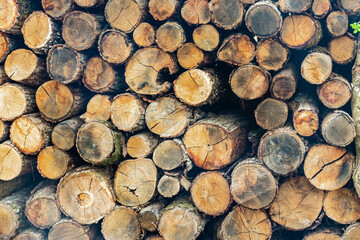 Natural wooden background - closeup of chopped firewood. Firewood stacked and prepared for winter Pile of wood logs.