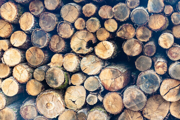 Natural wooden background - closeup of chopped firewood. Firewood stacked and prepared for winter Pile of wood logs.