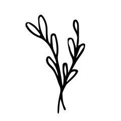 Obraz premium Vector illustration of two sprigs of spices on a white background