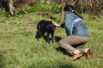A kind woman owner in the garden is stroking a fearful, distrustful black mongrel dog with her hand. Animal care in rural areas. Photography, concept.