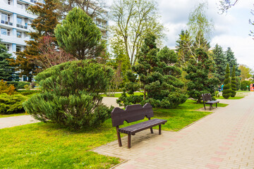 Obraz premium Topiary art of junipers, Yew Taxus baccata and thuja in autumn city street. Formed evergreens in resort area of Goryachiy Klyuch. Nature concept for design. Selective focus