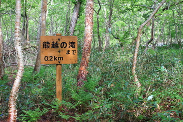 熊越の滝（知床羅臼）