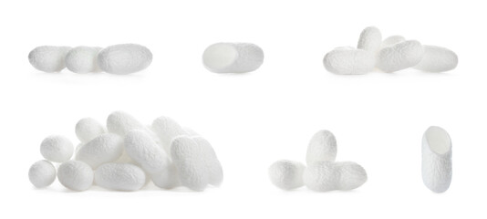 Set with natural silkworm cocoons on white background. Banner design