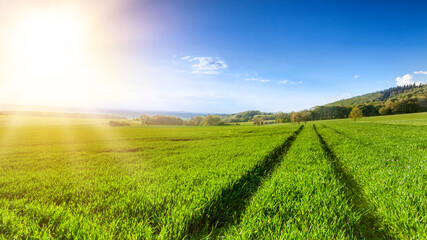 Idyllic rural view of beautiful farmland in the beautiful surroundings of the Iron Mountains