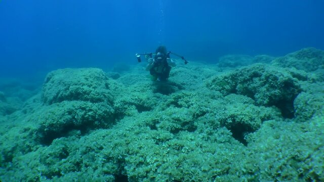 The camera slowly approaches a diver with a video camera in Mediterranean shoal covered with algae.