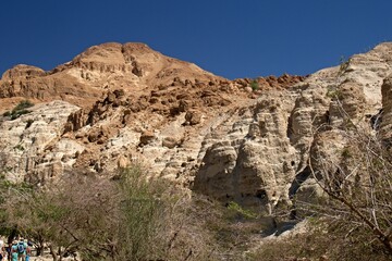 Fototapeta premium The Natural Park and Ein Gedi National Park are located in the Judea desert near the Dead Sea. Israel.