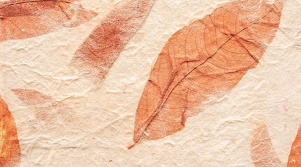 Close up of mulberry paper for a background.