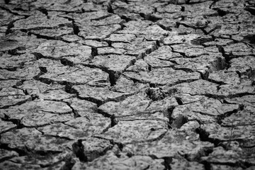 Black and white photo of the ground cracked apart due to drought at Bang Phra Reservoir, Chonburi Province, Thailand.