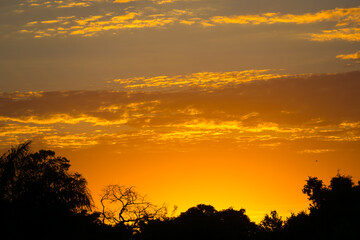 Sunset in pantanal