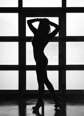 Fototapeta na wymiar Sexy dark silhouette of a sporty beefy girl in full growth against the background of small windows