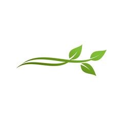 Naklejka premium green leaf icons design template vector