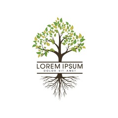 tree with roots logo